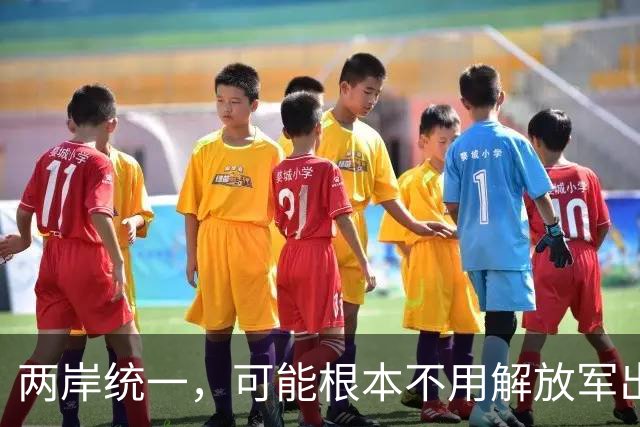 两岸统一，可能根本不用解放军出手，真正方式或出乎所有人意料