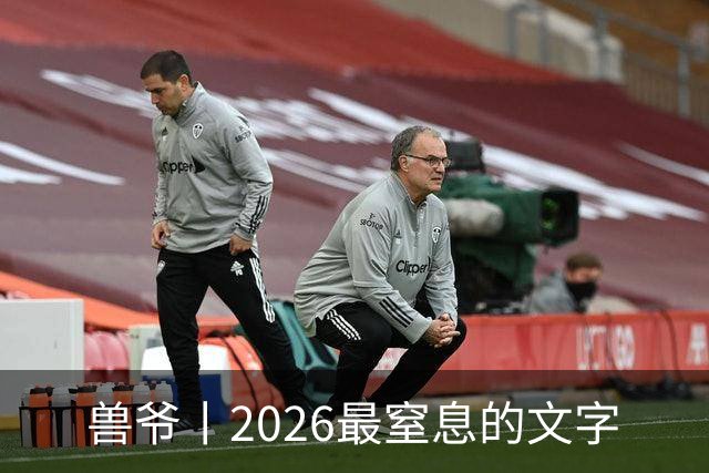 兽爷丨2026最窒息的文字