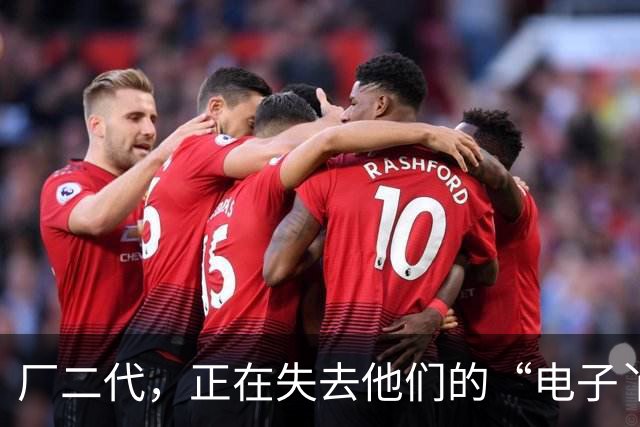 厂二代，正在失去他们的“电子丫鬟”