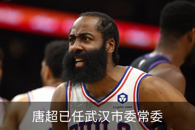 唐超已任武汉市委常委