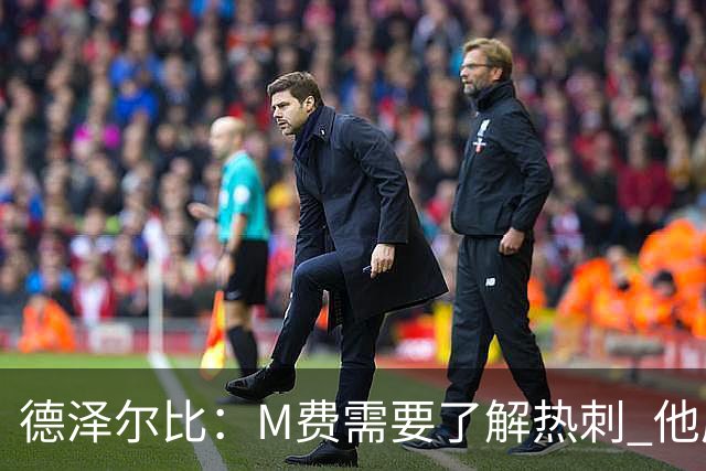 德泽尔比：M费需要了解热刺 他应该习惯承受压力