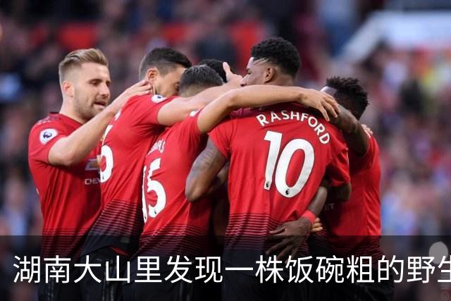 湖南大山里发现一株饭碗粗的野生柘树，全身是刺，却是古代的“帝王木”，可惜多数人不认识