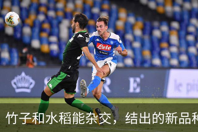 竹子和水稻能杂交，结出的新品种竹稻米能不能吃？怎么做到的？