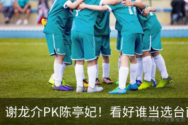 谢龙介PK陈亭妃！看好谁当选台南市长？网络投票结果超意外
