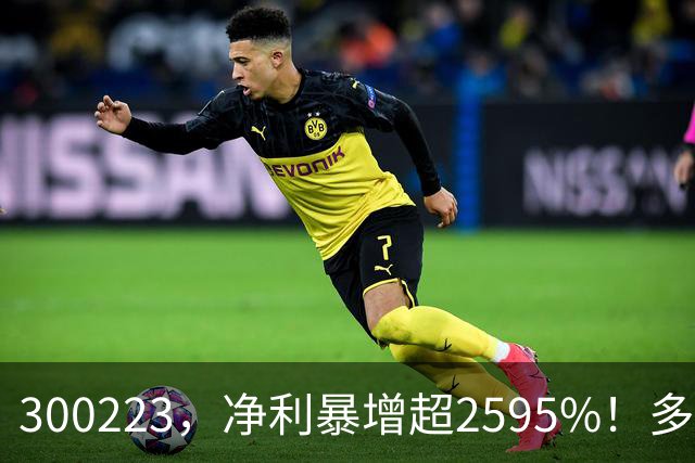 300223，净利暴增超2595%！多家A股公司业绩爆发